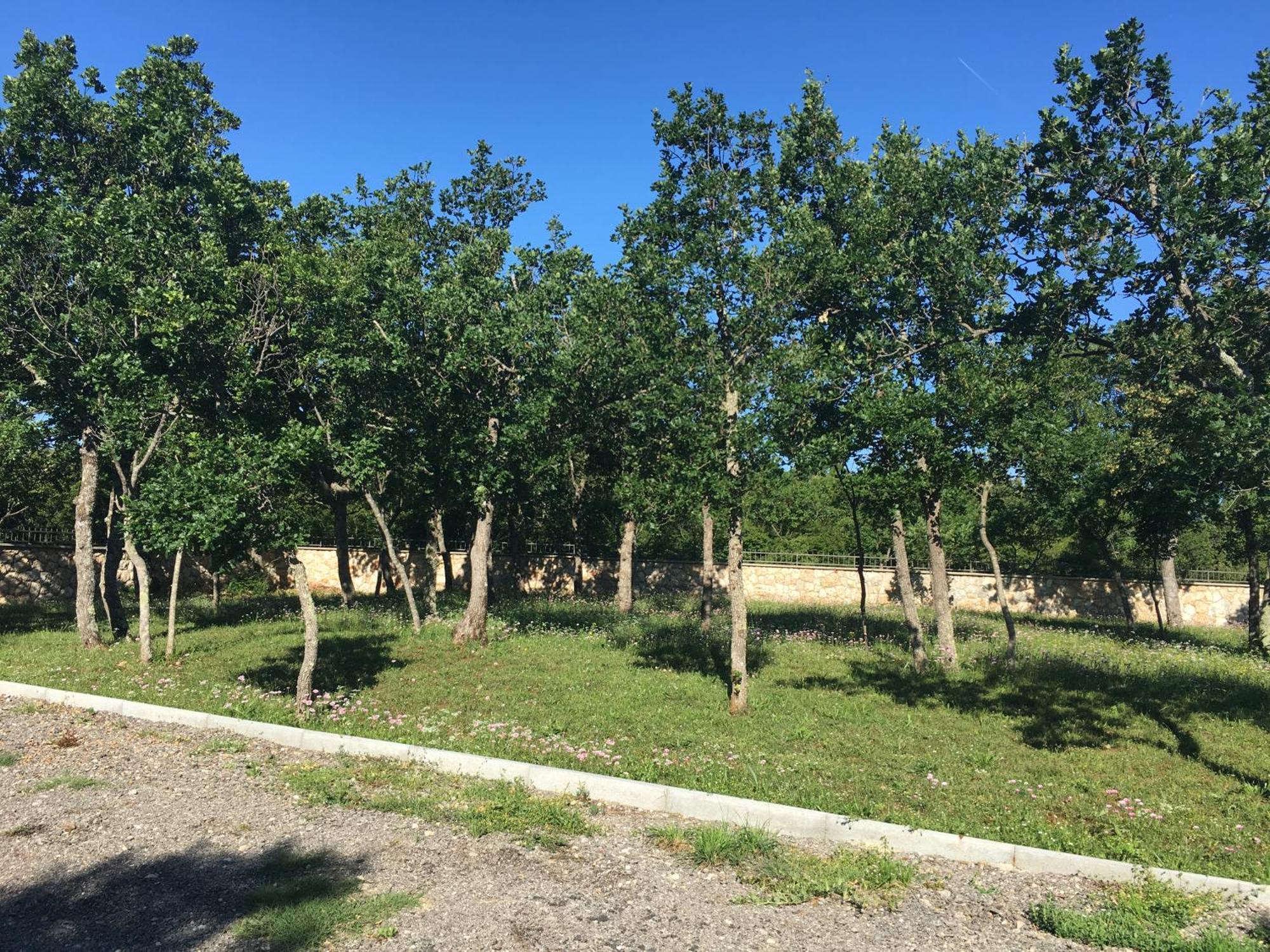 Micanovi Dvori Mobile Home Village Zrmanja Obrovac Bagian luar foto